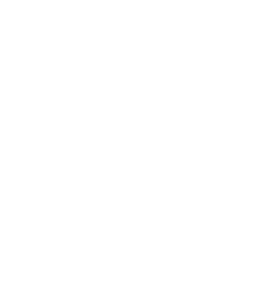 Chan logo c@3x
