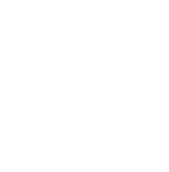Chan logo c@3x