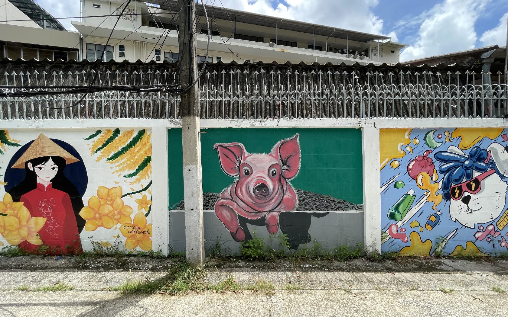 Resize img 7582