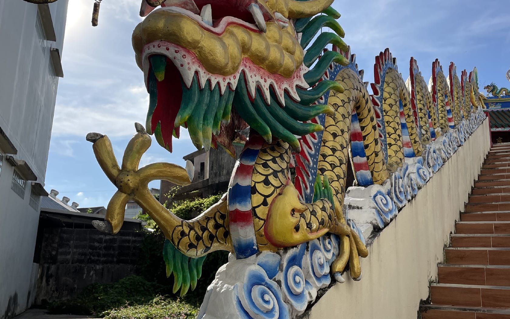 Resize img 7910